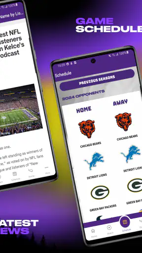 Minnesota Vikings screenshot