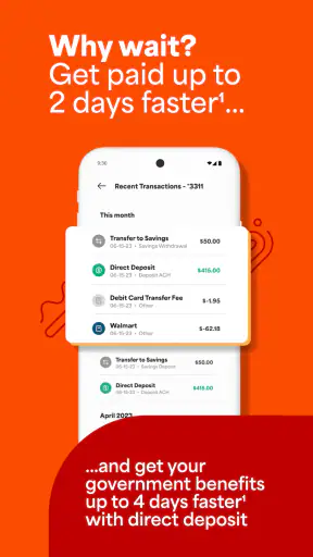 Netspend Wallet screenshot