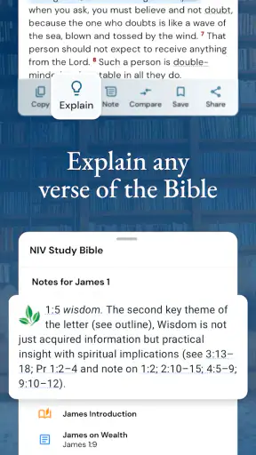 NIV Bible screenshot
