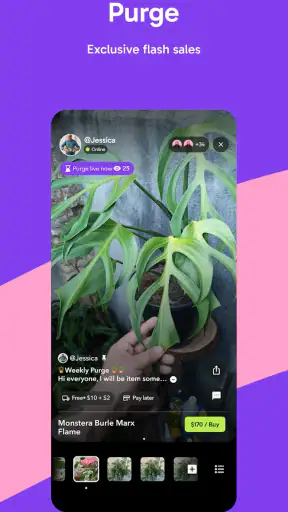 Palmstreet - Live shopping screenshot