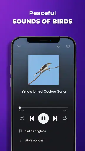 Phone Ringtones screenshot