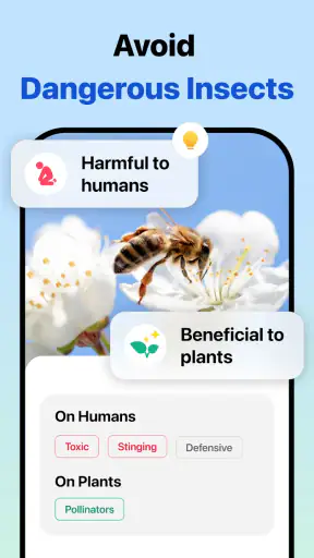 Picture Insect: Bug Identifier screenshot