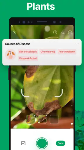 PictureThis - Plant Identifier screenshot