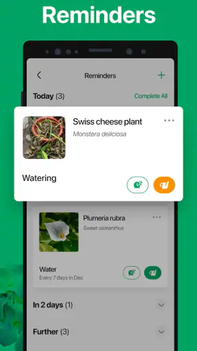 PictureThis - Plant Identifier screenshot