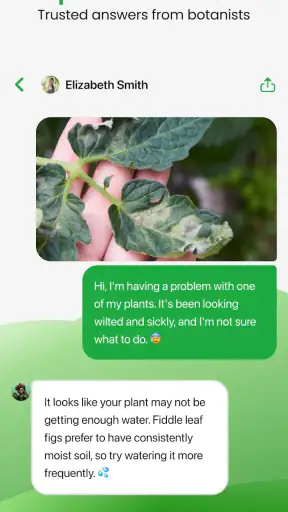 Plant App - Plant Identifier screenshot