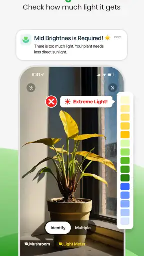 Plant App - Plant Identifier screenshot