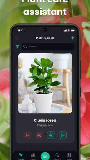 PlantIn Plant Identifier, Care screenshot