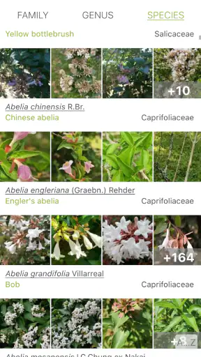 PlantNet Plant Identification screenshot