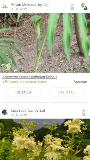PlantNet Plant Identification screenshot