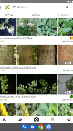 PlantNet Plant Identification screenshot