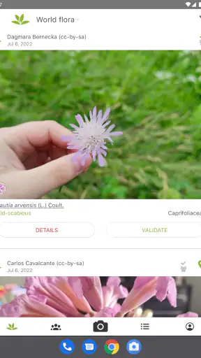 PlantNet Plant Identification screenshot