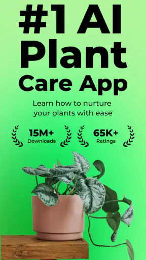 PlantSnap: plant identifier screenshot