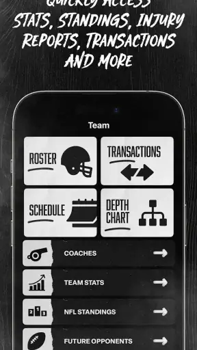 Raiders + Allegiant Stadium screenshot