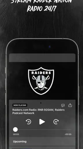 Raiders + Allegiant Stadium screenshot