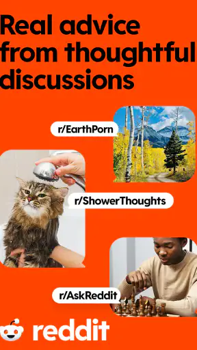 Reddit screenshot
