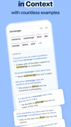 Reverso Translate and Learn screenshot