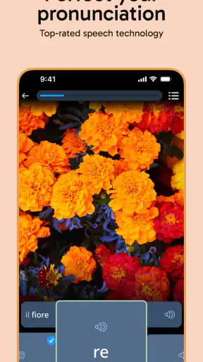 Rosetta Stone Sapphire screenshot