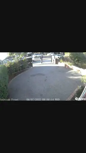 Swann Security screenshot