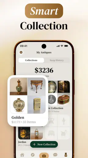 The Old: Antique Identifier screenshot