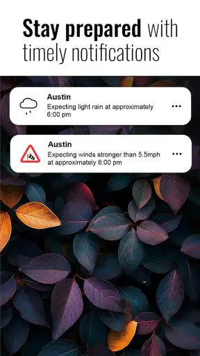 Transparent clock and weather screenshot