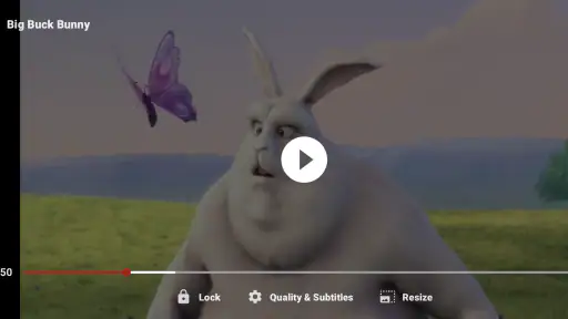 ZoZo Player - URL Video Player screenshot