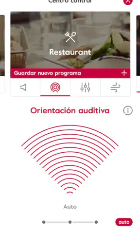 Amplifon screenshot