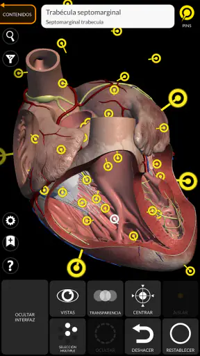 Anatomía - Atlas 3D screenshot