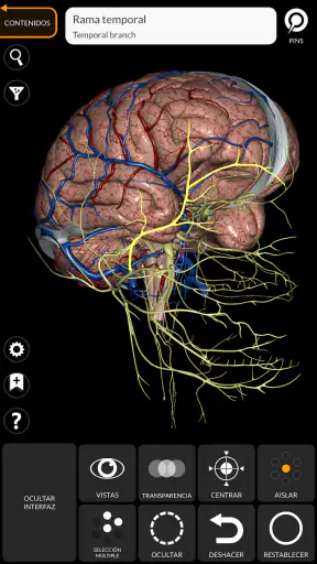 Anatomía - Atlas 3D screenshot