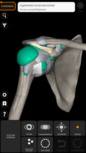 Anatomía - Atlas 3D screenshot