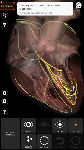 Anatomía - Atlas 3D screenshot