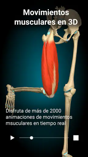Anatomy Learning - Anatomía 3D screenshot