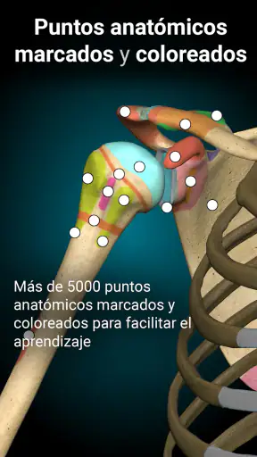 Anatomy Learning - Anatomía 3D screenshot