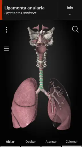 Anatomyka - Anatomía 3D screenshot
