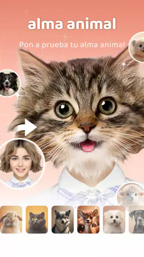 AnimalFace - looksmax ai app screenshot