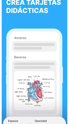 Anki Pro: Flashcads de estudio screenshot