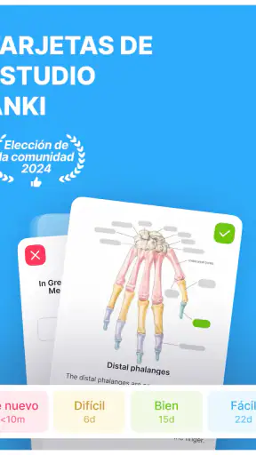Anki Pro: Flashcads de estudio screenshot