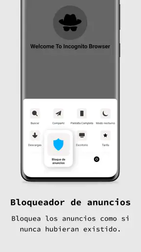 aplicación navegador privado screenshot