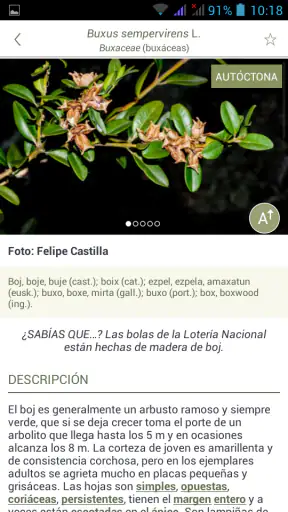 ArbolApp screenshot
