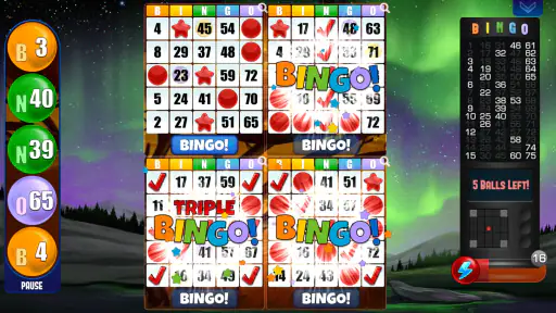 Bingo absoluto screenshot