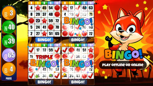 Bingo absoluto screenshot