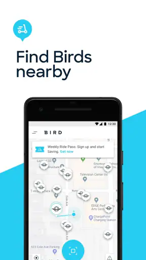 Bird screenshot