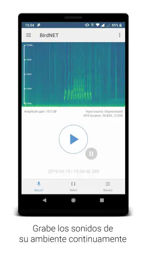 BirdNET screenshot
