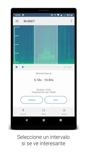 BirdNET screenshot