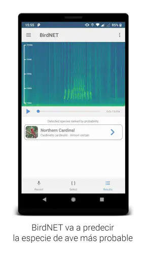 BirdNET screenshot