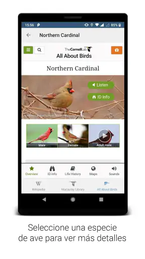 BirdNET screenshot