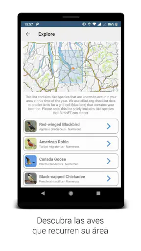 BirdNET screenshot