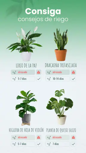 Blossom - Identifique plantas screenshot