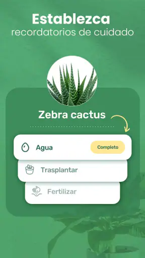 Blossom - Identifique plantas screenshot