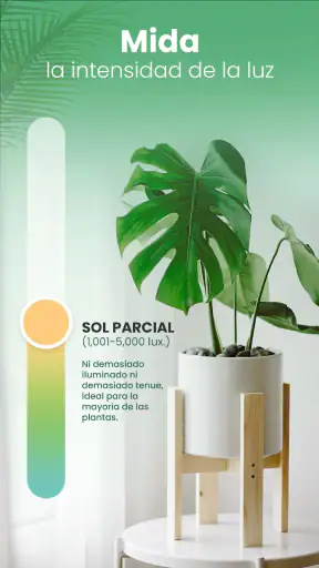 Blossom - Identifique plantas screenshot