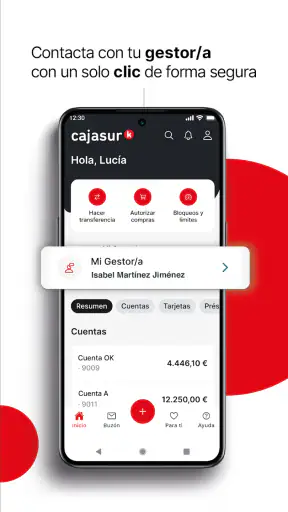 Cajasur screenshot